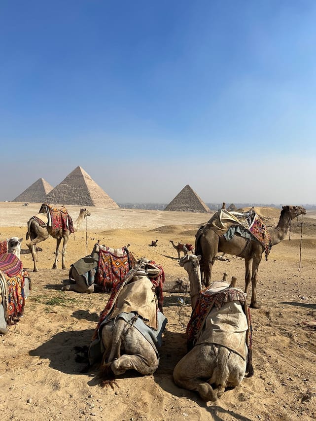 Giza Pyramids, Memphis and Sakkara Pyramids Private Day Tour 10
