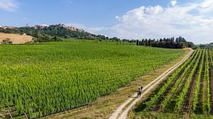 Wine lovers experience a Montepulciano, in mezza giornata