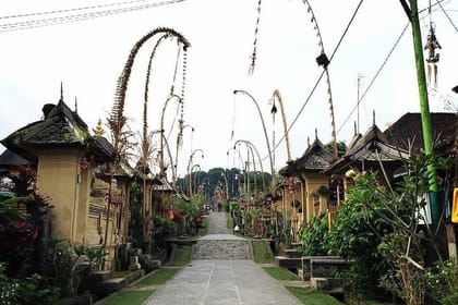 Discover Nature of Bali