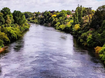 Auckland to Rotorua Geothermal Landscapes Tour