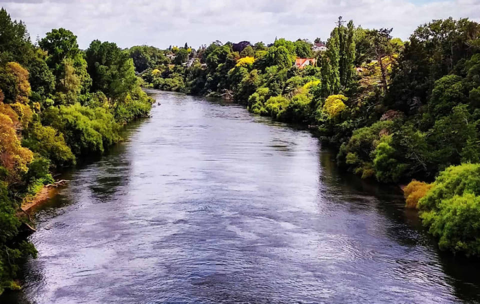 Auckland to Rotorua Geothermal Landscapes Tour