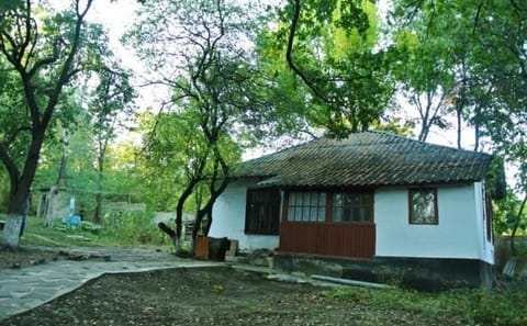 Cultural Tour of Gagauzia: Manuc Bey Mansion and More