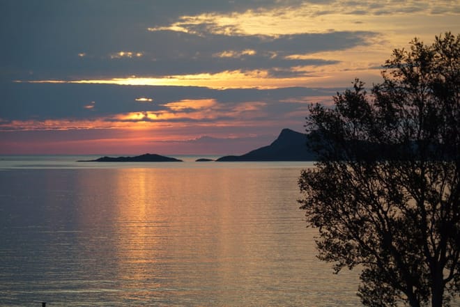 Midnight sun - TeslaX Electric car photo 6