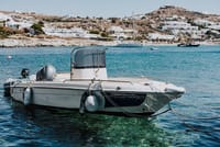Mykonos Good Vibes Private Fun And Fantasy Tour  7