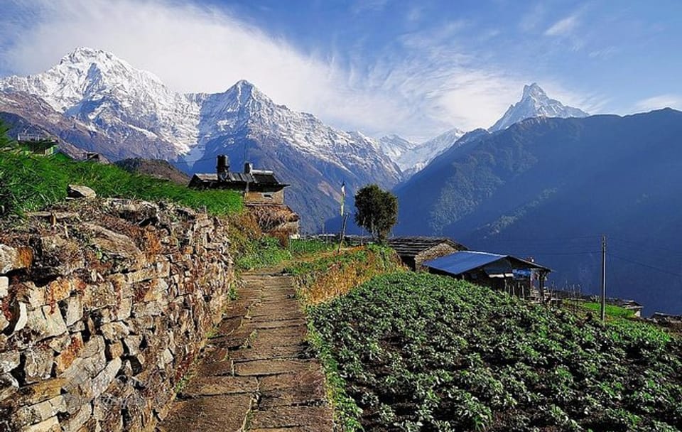 Royal Annapurna Family Trek – 9 Days of Easy Trails & Big Smiles