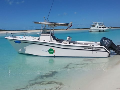 Private Swimming Pigs Tour from Nassau