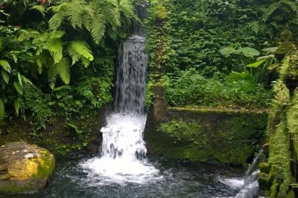 Private Guided Ubud Tour