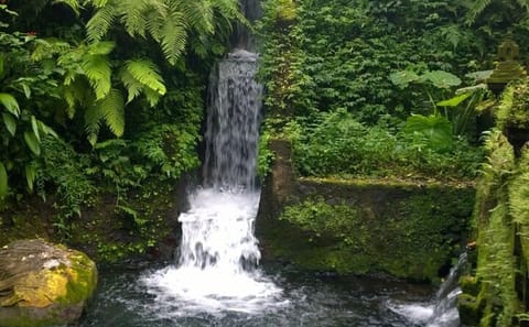 Private Guided Cultural Tour of Ubud and Surrounding Areas