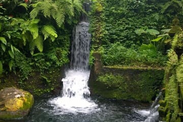 Private Guided Cultural Tour of Ubud and Surrounding Areas