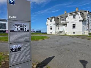 Reykjavik City Tour Experience, photo 16