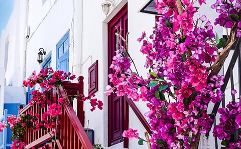 Mykonos Cultural Walk and Minivan Tour to Kalafati Beach