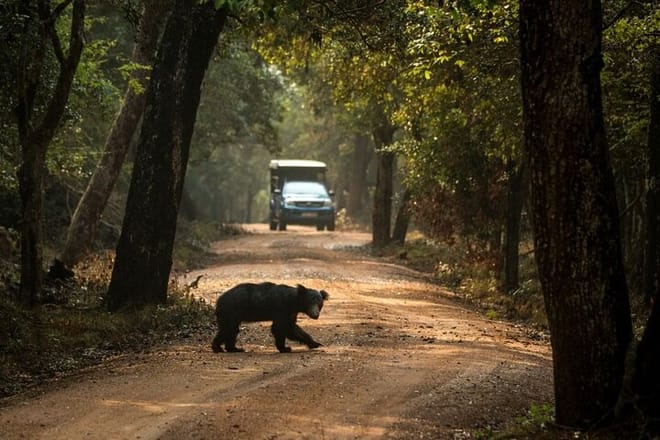 Yala National Park Safari from Galle 7