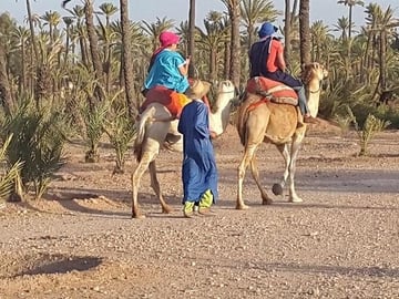 Marrakech palm Grove by camel trik