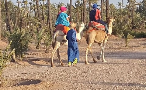 Marrakech Desert Camel Ride