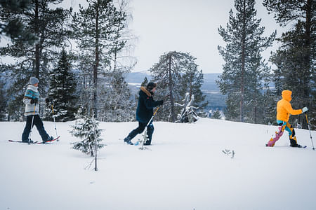Snowshoe winter trek