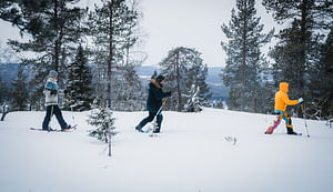 Snowshoe winter trek