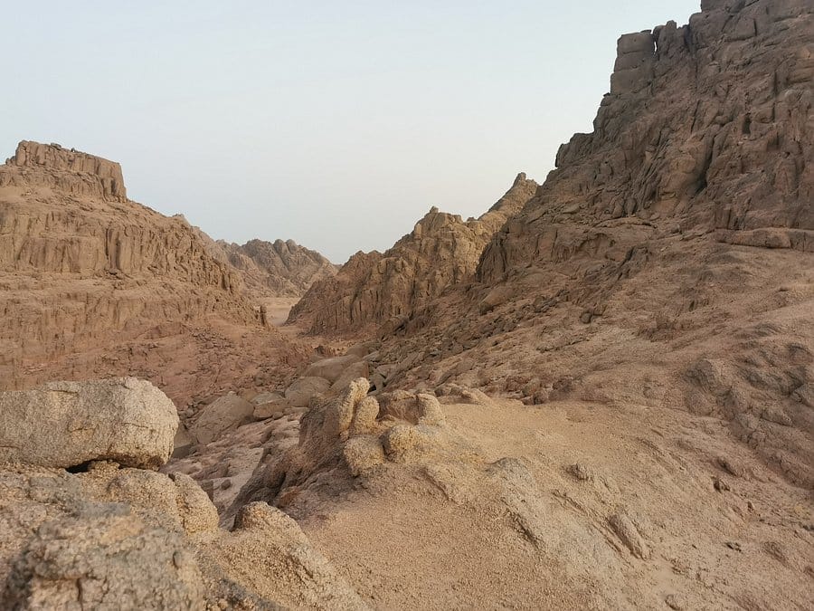 sharm el sheikh safari trip