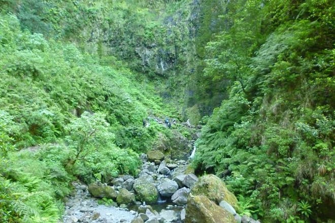 Green Cauldron