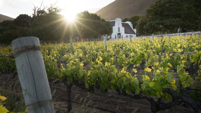 CAPE TOWN  :FULL-DAY  WINE  TASTING TOUR WITH  WINE  TRAM - Photo 4
