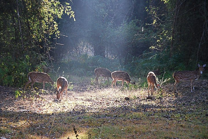 19 Days Mera Peak Climbing & Expedition – One Life-Changing Himalayan Adventure