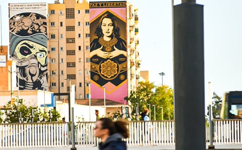 Malaga Highlights private tour guided