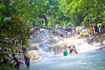 Zipline Canopy and Dunn's River Falls Tour in Ocho Rios