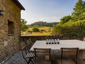 Winery Tour and Wine Tasting with Food near Livorno and Pisa