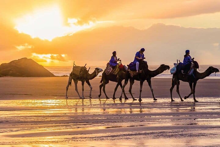 Your unforgettable camel ride on a scenic Tangier beach. This iconic experience is included in your VIP Private Day Tour from Tarifa.