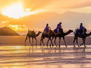 Your unforgettable camel ride on a scenic Tangier beach. This iconic experience is included in your VIP Private Day Tour from Tarifa.