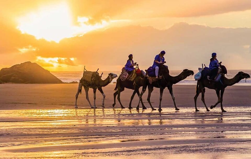 VIP Tangier Private Day Tour from Tarifa – Ferry & Camel Ride