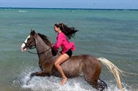 Hurghada : Horse Riding 2 Hours Sea & Desert with Transfer 1