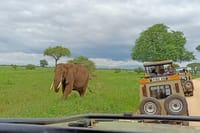 Game Viewing Drive