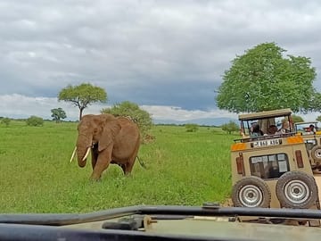 Game Viewing Drive