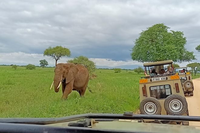 Game Viewing Drive