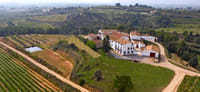 Viticulture and Wine-Tasting 3-Hour Trip from Barcelona 3