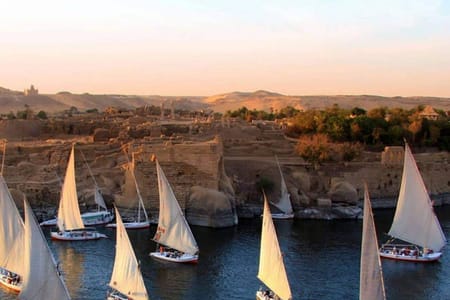 Unveiling the Gems of Aswan Botanical Garden