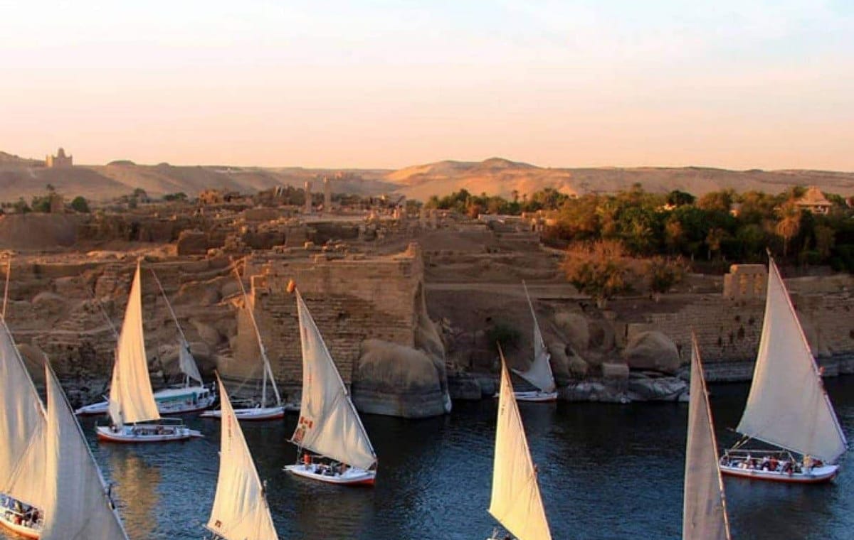 Unveiling the Gems of Aswan Botanical Garden