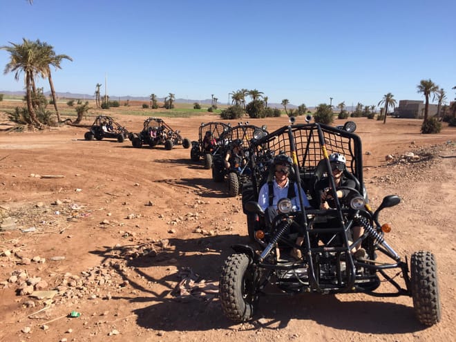 ½ Day : Buggy Adventure in Desert & Palms | Private & Luxury 4
