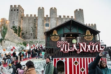 AVEIRO, NAZARÉ and OBIDOS: Private Tour from Porto