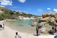 Kirstenbosch Garden, Bo-Kaap,Penguins & Cape of Good Hope Tour 5
