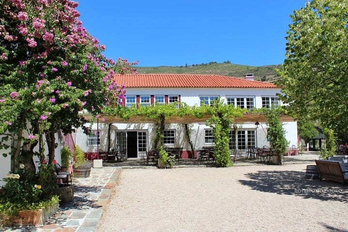 Douro Tour, Lunch at an Award-Winning Winery and Private Cruise