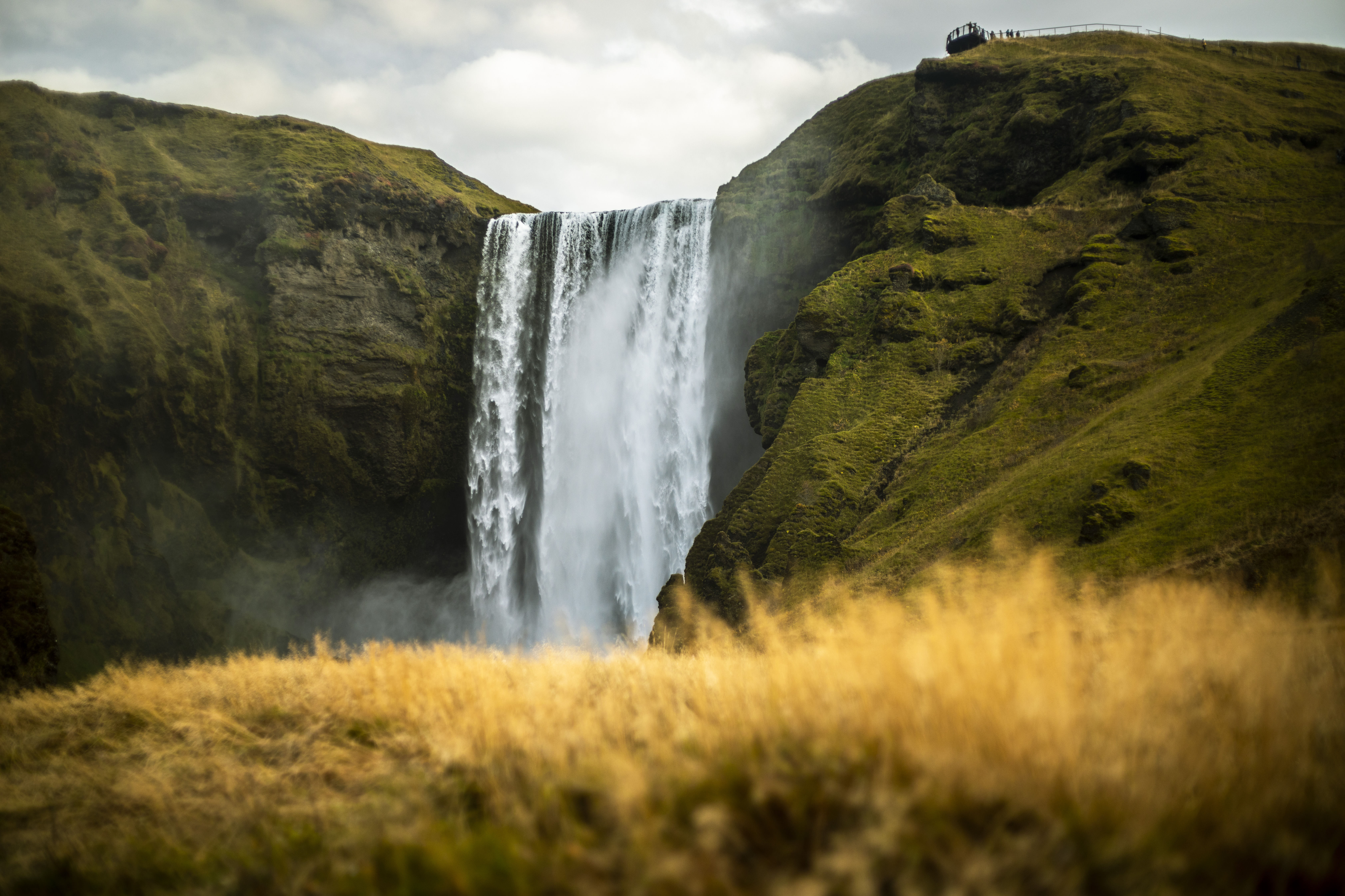 Admiring the 60 m drop of Skógarfoss waterfall while laying in the gras