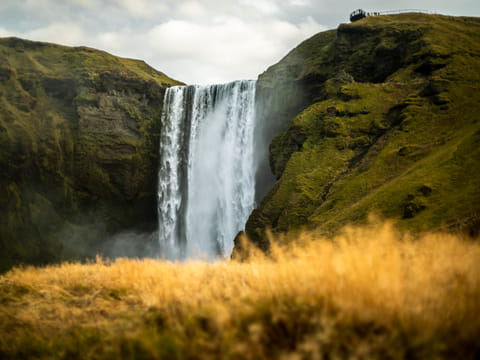 Admiring the 60 m drop of Skógarfoss waterfall while laying in the gras