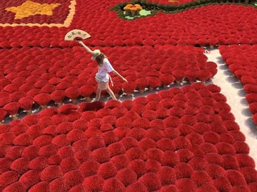 Cultural Tour of Hanoi's Incense Village and Art Crafts