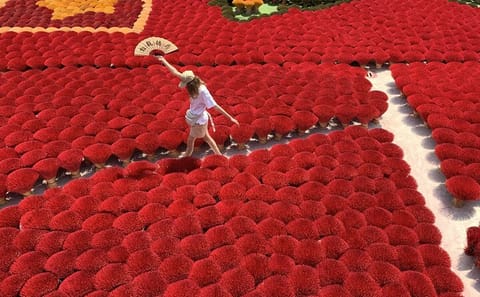 Cultural Tour of Hanoi's Incense Village and Art Crafts