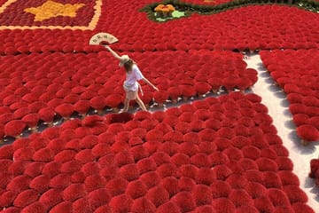 Cultural Tour of Hanoi's Incense Village and Art Crafts