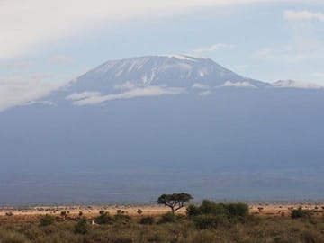 Views of Kilimanjaro