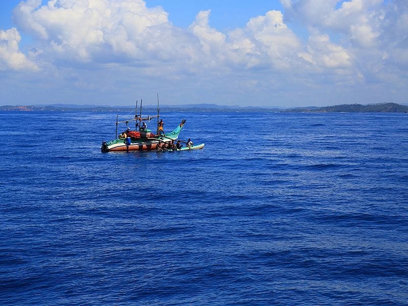 From Bentota: Mirissa Whale Watching Tour 4
