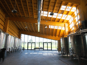 Organic Winery Visit near Turin with Wine & Food Tasting 9