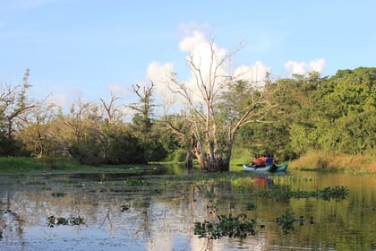 Eco & Adventure Tour 01